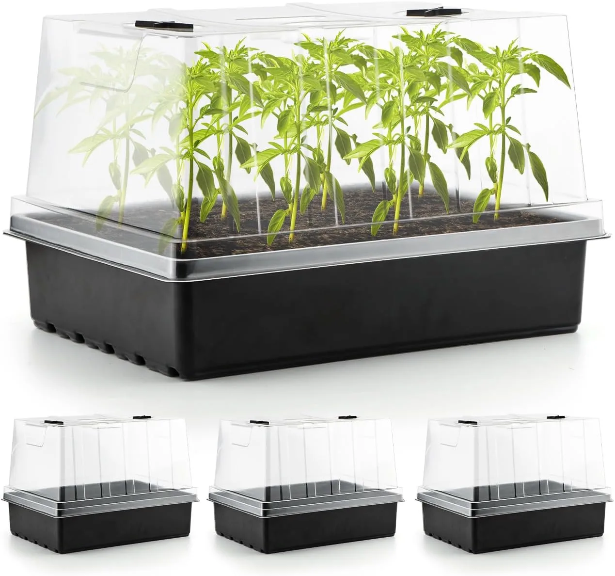 Zimmergewächshaus Anzuchtkasten, 4 Stück anzucht gewächshaus Set mit erhöhten Deckel, Setzling Starter Tabletts Treibhaus Anzuchtschale mit Deckel für Pflanze, Schwarz - Bild 1