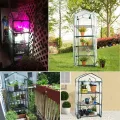 Aewächshaus Abdeckung, Ohne Regal, Aufrollbare Tür Treibhaus Anzuchthaus Gartenhaus, Frühbeet Tomatenhaus Gemüse Gewächshaus, PVC Abdeckung Transparent für Garten Balkon, Foliengewächshaus Gewächshaus - Thumbnail 6