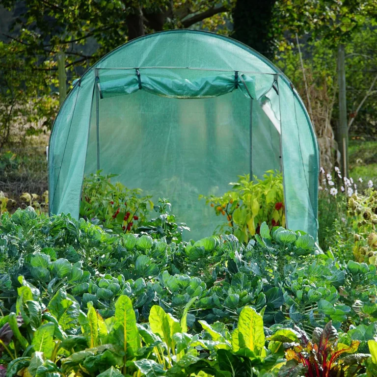 NATIV Foliengewächshaus | Tomaten Gewächshaus mit 6 Fenstern | Tomatenzelt aus extra Stabiler Gewächshausfolie | Tomatenhaus mit aufrollbarer Türe | Überwinterungszelt für Pflanzen 300 x 200 cm – Bild 7