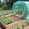 NATIV Foliengewächshaus | Tomaten Gewächshaus mit 6 Fenstern | Tomatenzelt aus extra Stabiler Gewächshausfolie | Tomatenhaus mit aufrollbarer Türe | Überwinterungszelt für Pflanzen 300 x 200 cm - Thumbnail 2