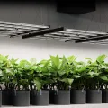 AC Infinity IONFRAME EVO8 LED Grow Light 730 W für 150 x 150 cm Grow Zelte, mit 2688 Samsung LM301H EVO LEDs und Vollspektrum-Licht für Indoor-Grow & Gewächshaus - Thumbnail 15
