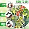 250 Stück Pflanzenclips,Tomatenclips Verbinden,Kunststoff Tomatenclips,Pflanzenklammern,Ranken Clips,Pflanzen Sicherung,Tomatenclips Verbinden Pfeffer Gurke Reben Ideal,für Pflanzen Sicherung – Bild 2