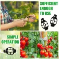 250 Stück Pflanzenclips,Tomatenclips Verbinden,Kunststoff Tomatenclips,Pflanzenklammern,Ranken Clips,Pflanzen Sicherung,Tomatenclips Verbinden Pfeffer Gurke Reben Ideal,für Pflanzen Sicherung - Thumbnail 6