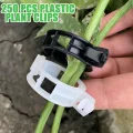 250 Stück Pflanzenclips,Tomatenclips Verbinden,Kunststoff Tomatenclips,Pflanzenklammern,Ranken Clips,Pflanzen Sicherung,Tomatenclips Verbinden Pfeffer Gurke Reben Ideal,für Pflanzen Sicherung - Thumbnail 8