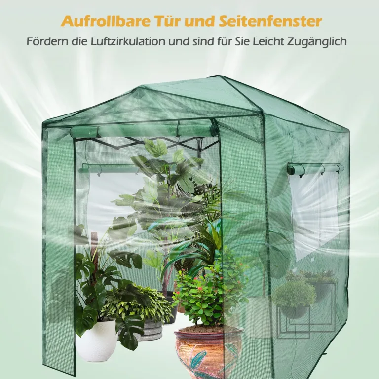 RELAX4LIFE Gewächshaus, Foliengewächshaus Winterfest mit 2 Aufrollbaren Fenstern & 2 Aufrolltüren, Überwinterungszelt für Pflanzen, Pflanzenhaus für Blumen Gemüse Obst, 250 × 180 × 210-230cm – Bild 3