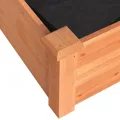 vidaXL Hochbeet, Pflanzbeet mit Einsatz, Pflanzkübel für Blumen Obst Gemüse, Kräuterbeet Gemüsebeet für Garten Balkon Terrasse, Braun Massivholz Tanne - Thumbnail 5