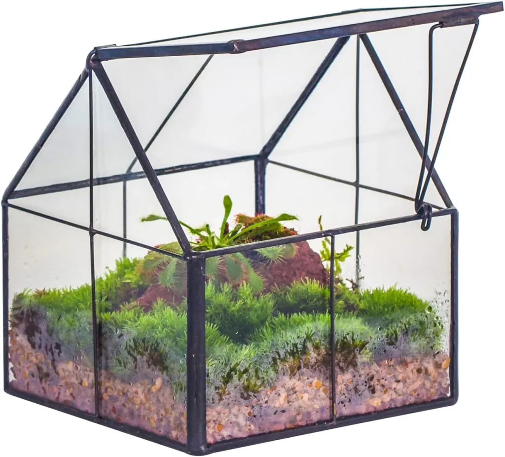 NCYP 10,8x10,8x12,5 cm Geometrisches Mini Pflanzenterrarium aus Glas mit Deckel, Schwarz Übertopf für kleine Sukkulenten Luftpflanzen, Handgefertigt Heimgarten Büro Tischdekoration (Nur Terrarium)