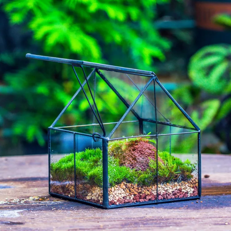 NCYP 10,8x10,8x12,5 cm Geometrisches Mini Pflanzenterrarium aus Glas mit Deckel, Schwarz Übertopf für kleine Sukkulenten Luftpflanzen, Handgefertigt Heimgarten Büro Tischdekoration (Nur Terrarium) – Bild 4