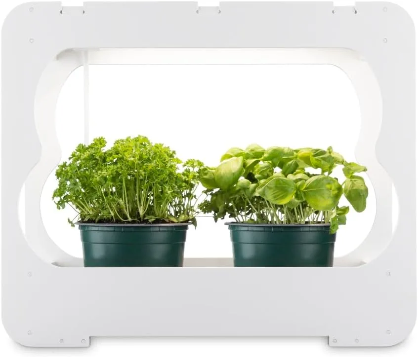 Xavax LED Smart Garden Home Gewächshaus Box klein mit Lampe für Balkon, als Anzuchtkasten für Hochbeet oder Outdoor Garten Pflanzen, Mini Gewächshaus mit Wachstumslampen für Pflanzen 3 Töpfe Ø 10 cm - Bild 1