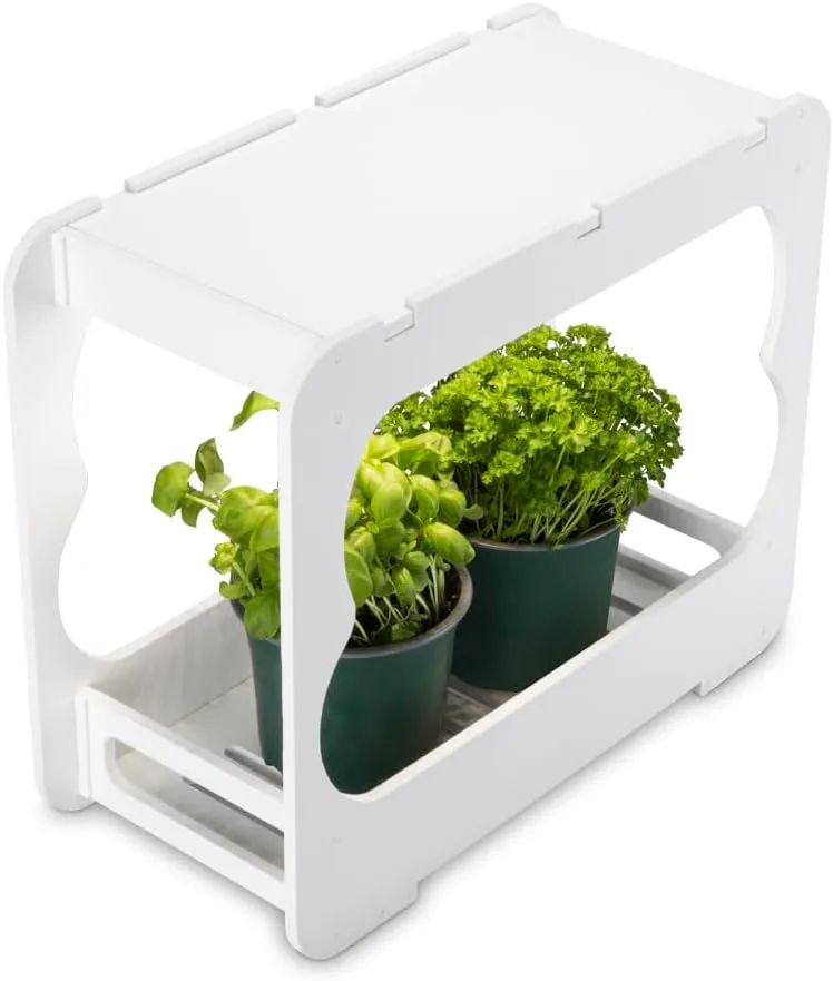 Xavax LED Smart Garden Home Gewächshaus Box klein mit Lampe für Balkon, als Anzuchtkasten für Hochbeet oder Outdoor Garten Pflanzen, Mini Gewächshaus mit Wachstumslampen für Pflanzen 3 Töpfe Ø 10 cm – Bild 3