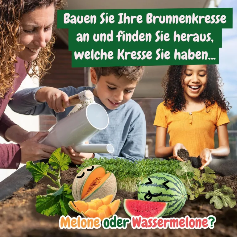 Science4you Mini Gewächshaus - Hausgärten Anbauset für Gartenaktivitäten, Pflanzen Sie Ihre eigene Brunnenkresse mit Mini-Anzuchset, DIY Kit, Kunst & Handwerk Geschenk für Kinder Alter 6 7 8 9+ – Bild 4