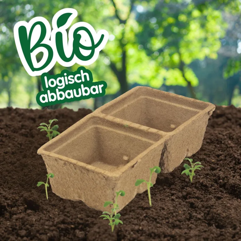 Science4you Mini Gewächshaus - Hausgärten Anbauset für Gartenaktivitäten, Pflanzen Sie Ihre eigene Brunnenkresse mit Mini-Anzuchset, DIY Kit, Kunst & Handwerk Geschenk für Kinder Alter 6 7 8 9+ – Bild 5