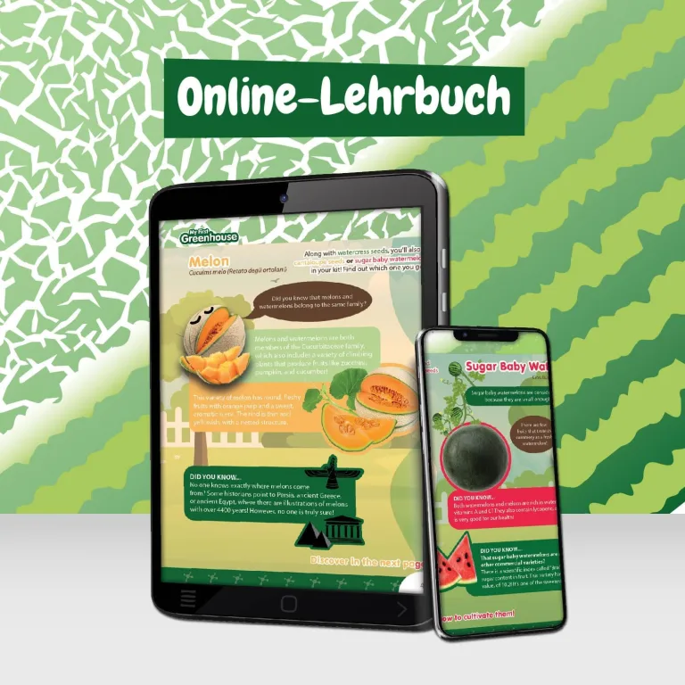 Science4you Mini Gewächshaus - Hausgärten Anbauset für Gartenaktivitäten, Pflanzen Sie Ihre eigene Brunnenkresse mit Mini-Anzuchset, DIY Kit, Kunst & Handwerk Geschenk für Kinder Alter 6 7 8 9+ – Bild 7