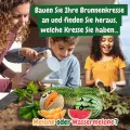 Science4you Mini Gewächshaus - Hausgärten Anbauset für Gartenaktivitäten, Pflanzen Sie Ihre eigene Brunnenkresse mit Mini-Anzuchset, DIY Kit, Kunst & Handwerk Geschenk für Kinder Alter 6 7 8 9+ - Thumbnail 4