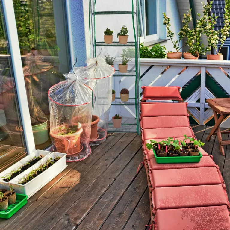 Relaxdays Gewächshaus Balkon, HBT: 193 x 58 x 36 cm, 5 Etagen, Eisen & PVC-Folie, Foliengewächshaus, transparent/grün – Bild 6