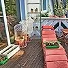 Relaxdays Gewächshaus Balkon, HBT: 193 x 58 x 36 cm, 5 Etagen, Eisen & PVC-Folie, Foliengewächshaus, transparent/grün – Bild 2