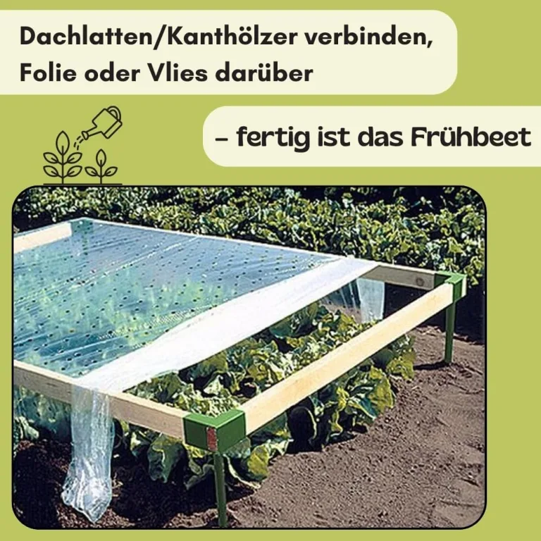 Eckverbindungen 4 Stück für Frühbeet Holzverbinder Beetecken Frühbeet Eckverbinder für Holzlatten Beet Eckpfeiler Beetumrandung Verbindungsstücke Halter – Bild 6