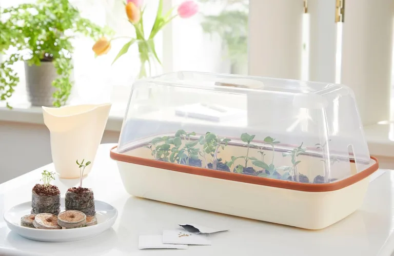 FLORTUS Set Zimmergewächshaus BoQube M Kupfer & Kokos Quelltöpfe (24 STK) | Gewächshaus & Quelltabletten aus Kokoserde Anzuchterde | Geschenkset – Bild 5