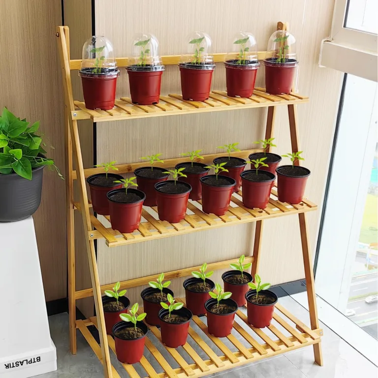 RooTrimmer Pflanztöpfe mit Feuchtigkeitskuppeln, 50 Sets, 10,2 cm, weiche Pflanztöpfe (50 rote Töpfe + 50 transparente Deckel), hochwertige Samen beginnend mit Abdeckung – Bild 7