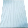 KAISER plastic® 4x Doppelstegplatten Polycarbonat 16/20-98x200 cm (7,84 m²) Klar & UV-beständig - Hohlkammerplatten Xtra Strong - Stegplatten für Dach, Gewächshaus, Carport - Thumbnail 1
