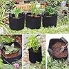 König Design 10x 20L Pflanzsack aus Vlies Stoff - 10er Set 20L Pflanztaschen aus 300 g/m² Filz & Vliesstoff - Pflanzgefäß Pflanzbeutel für Balkon Terrasse Gewächshaus & Garten – Bild 3