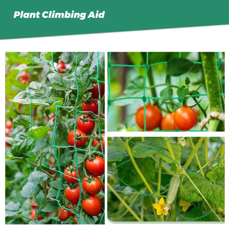 Rankgitter 2 x 3 m mit großem Masche, Gurkennetz, Rankgitter für Kletterpflanzen – ideal für Gurken, Tomaten, Gärten und Gewächshäuser – Bild 8