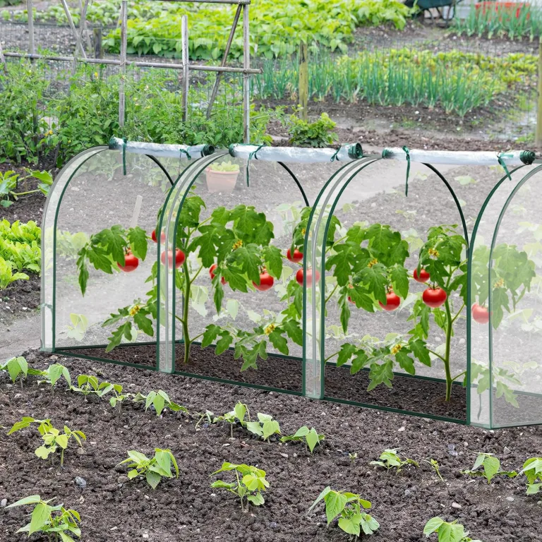 Ikodm Gewächshaus Foliengewächshaus 200 x 80 x 170/150cm (LxBxH) mit Gitternetzfolie und Fernster, Tomatengewächshaus tomatenhaus 140 g/㎡ PE wasserdichte Folie für Garten Pflanzenwachstum – Bild 9