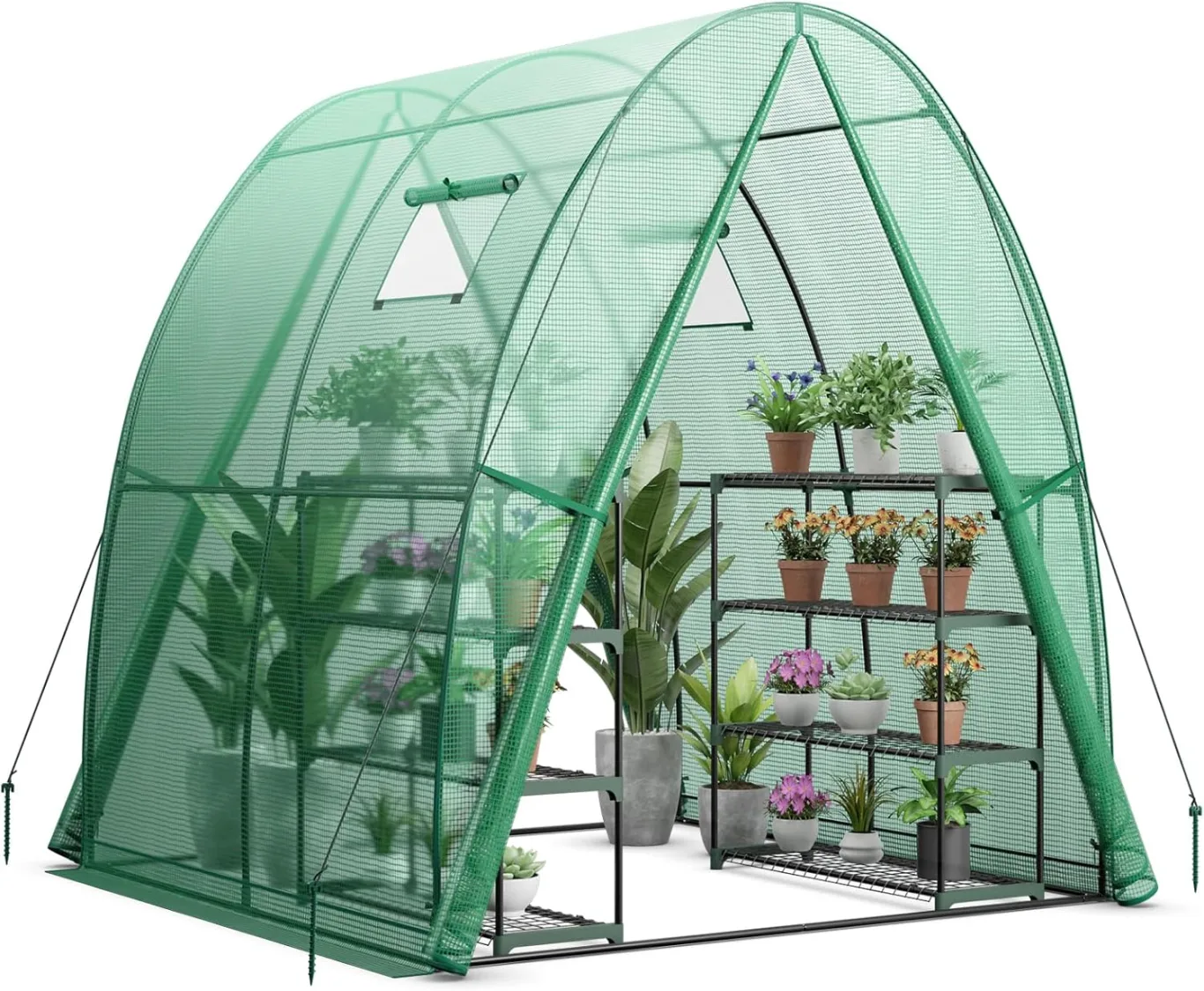 COSTWAY Foliengewächshaus Gewächshaus, Treibhaus mit Allwetter-PE-Abdeckung, Rolltür und Fenster, Tomatengewächshaus Tomatenhaus, Pflanzenhaus für Tomaten & Topfpflanzen (181x181x200 cm, Grün) - Bild 1