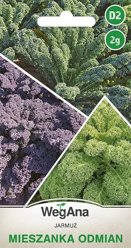Grünkohl Mischung 2g, Robuste Gemüsesamen, Gemüse Samen, Samen Anzucht – Bild 1
