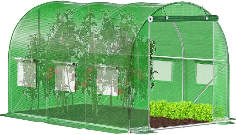 Gewächshaus klein - Foliengewächshaus Winterfest mit Stabiler Folie für Gewächshaus & Tomatenhaus -Treibhaus & Folientunnel für Balkon, Garten, Anzucht & Pflanzenzucht - 200 x 300 x 200 cm – Bild 1
