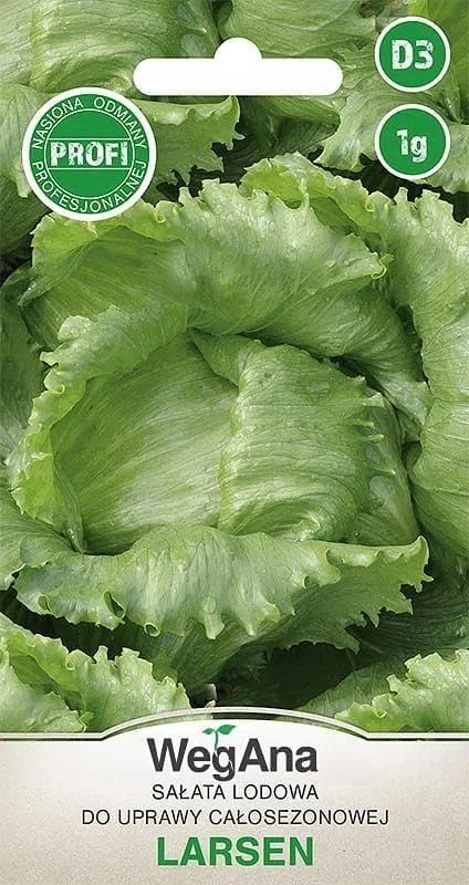 Eisbergsalat Samen Larsen 1g, Eissalat Salat Grün Robuste Gemüsesamen, Gemüse Samen, Samen Anzucht, Saatgut für Gewächshaus - Bild 1