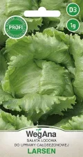 Eisbergsalat Samen Larsen 1g, Eissalat Salat Grün Robuste Gemüsesamen, Gemüse Samen, Samen Anzucht, Saatgut für Gewächshaus - Thumbnail 1