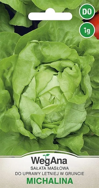 Butterkopfsalat Michalina Samen 1g, Grüne Kopfsalate, Robuste Gemüsesamen, Gemüse Samen, Samen Anzucht, Saatgut für Gewächshaus – Bild 1