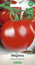 Lauchsamen 1g Porree Titus Robuste Gemüsesamen, Gemüse Samen Anzucht Saatgut für Gewächshaus Garten - Thumbnail 2