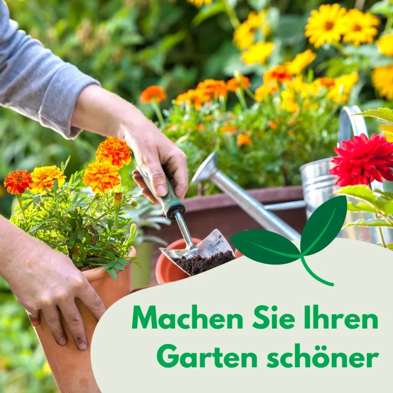 Rettich Poloneza Radieschen Samen 10g (Etwa 1500 Samen) Frühe Sorte, Robuste Gemüsesamen, Gemüse Samen, Samen Anzucht, Saatgut für Gewächshaus – Bild 6