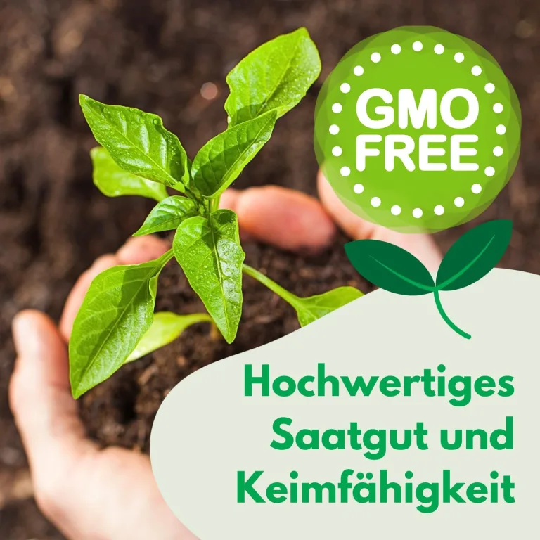 Petersilienwurzel Konika Saatband 6m Wurzelpetersilie, Robuste Gemüsesamen Gemüse Samen Samen Anzucht Saatgut für Gewächshaus – Bild 4