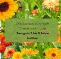 Petersilienwurzel Halblange 5g (Etwa 4000 Samen), Wurzelpetersilie, Robuste Gemüsesamen, Gemüse Samen, Samen Anzucht, Saatgut für Gewächshaus - Thumbnail 8