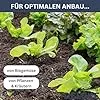DELUKE Hochbeet aus Holz Jona | 200x30x25cm, Akazienholz | Hochbeet für Garten Hochbeet Holz Gartenbeet hoch Kräuterbeet XXL Blumenbeet Gemüsebeet groß Garten - Thumbnail 2