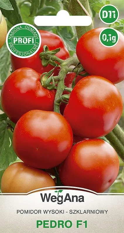 Tomaten Pedro Hybrid F1 0,1g Samen Tomatensamen Robuste Gemüsesamen, Gemüse Samen Anzucht Saatgut für Gewächshaus Garten - Bild 1