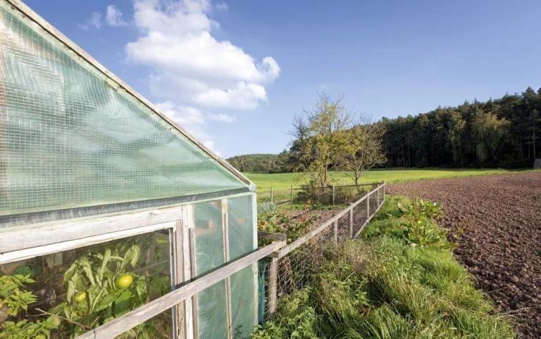 EraGreen Gitterfolie 1,5m x 40m - 280g/m² reißfeste Gewächshaus Folie mit Nagelrand, hoch UV-Stabil Gartenfolie für Tomatenhaus und Frühbeet, Gewebefolie – Bild 5