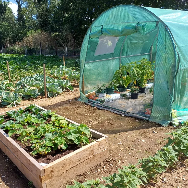 NATIV Robustes Foliengewächshaus, Tomaten Gewächshaus mit 2 Fenstern, Tomatenzelt aus Stabiler Gewächshausfolie, Tomatenhaus mit aufrollbarer Türe, Überwinterungszelt für Pflanzen 300 x 200 x 200 cm – Bild 6