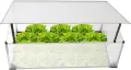 NATIV Frühbeet aus 1 mm dicken Aluminium, Hochbeet Abdeckung mit arretierbarem Dach, Frühbeetkasten mit Polycarbonatplatten, Frühbeetaufsatz für Hochbeet 100 x 60 cm, Mini Gewächshaus - Thumbnail 5