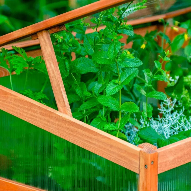 dobar® Frühbeetaufsatz aus Holz für Hochbeet Kubus 2.0 - Frühbeetkasten für Garten - 76 x 56 x 20 cm - Braun – Bild 6