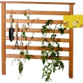 dobar® Rankgitter-Aufsatz aus Holz - Rankgitter für Hochbeet Kubus 2.0-78 x 5 x 78 cm - Braun - Thumbnail 1