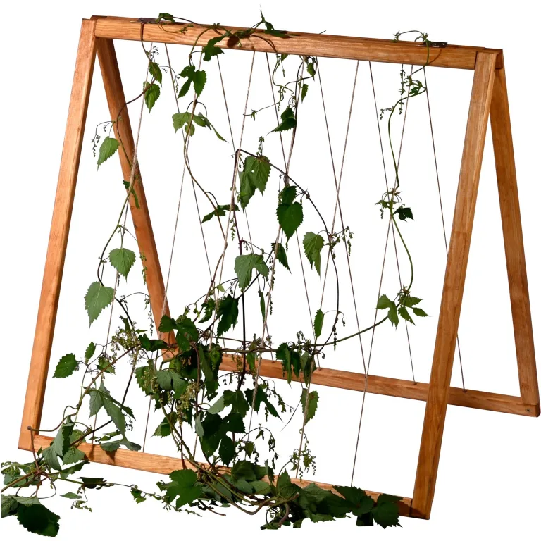 dobar® Rankhilfen-Aufsatz Gurken für Hochbeet Kubus 2.0 - Rankhilfe für den Garten - 78 x 58 x 78 cm - Braun – Bild 1