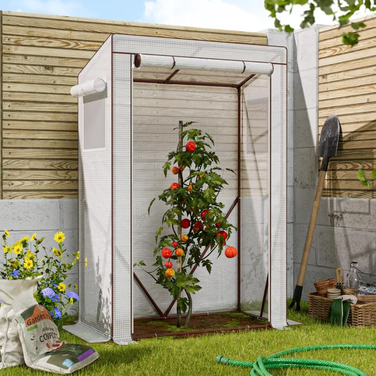 Amopatio Tomatengewächshaus, Foliengewächshaus Klein mit Atmungsaktives Fenster/verstärkter PE-Abdeckung/Erdhaken/Rolltor, 100 x 50 x 150 cm, Tomaten Gewächshaus für Garten, Balkon, Terrasse – Bild 5