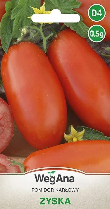 Tomaten Zyska 0,5g Samen Zwergtomate Mittelgroße Tomatensamen Robuste Gemüsesamen Gemüse Samen Anzucht Saatgut Terrasse Garten Gemüsegarten – Bild 1