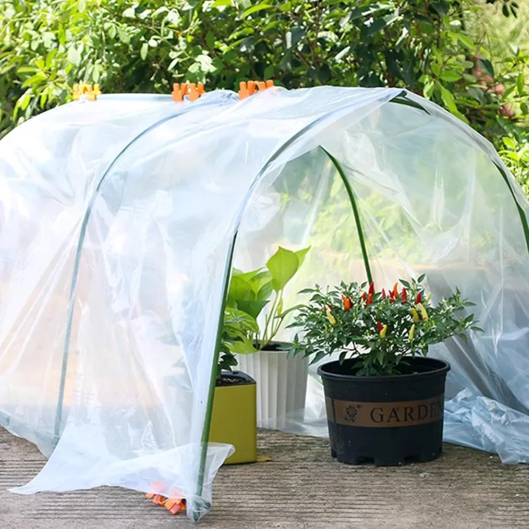 Polyethylenfolie Transparent Gewächshausfolie, Extra Dick Reißfest Gartenfolie Aus Polyethylen,Treibhaus Folie Zur Abdeckung Von Gemüsebeeten Tunnelfolie Tomatenhaus Folie (2 X 3m) – Bild 4