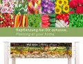 needs&wants® Hochbeet aus Holz für Garten Balkon Terrasse, Pflanzkasten Bausatz rechteckig schmal mit Vlies-Folie, Kräuterbeet Pflanzenkasten deko, weiß - Thumbnail 5