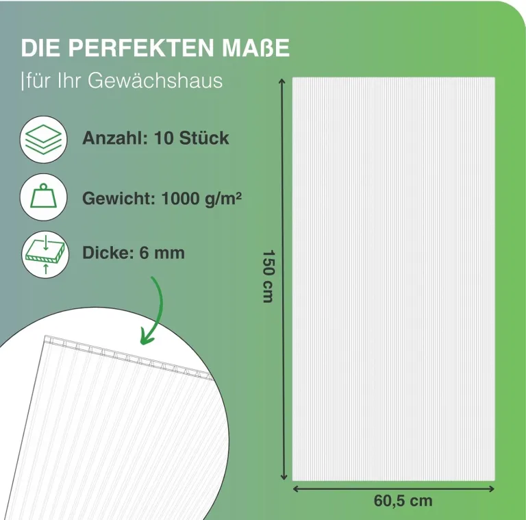 10x Gewächshausplatten 6mm I Polycarbonat Hohlkammerplatten für Gewächshäuser I PC Doppelstegplatten UV-beständig & bruchsicher I für Garten, Frühbeet uvm I 60,5cm x 150cm I Transparent – Bild 2